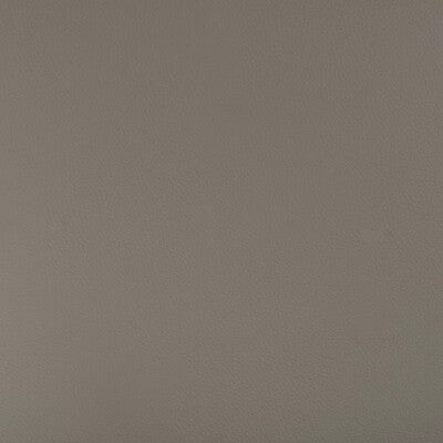 KRAVET DESIGN BEECH.11.0 KRAVET DESIGN BEECH-11 Fabric - FAUX LEATHER IV