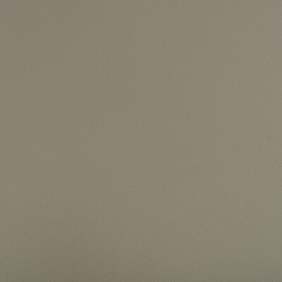 KRAVET DESIGN BEECH.1101.0 KRAVET DESIGN BEECH-1101 Fabric - FAUX LEATHER IV