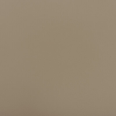KRAVET DESIGN BEECH.121.0 KRAVET DESIGN BEECH-121 Fabric - FAUX LEATHER IV