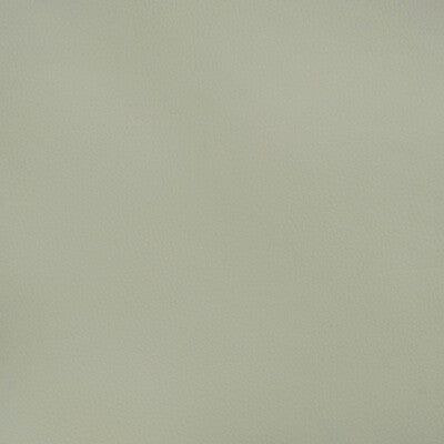 KRAVET DESIGN BEECH.1511.0 KRAVET DESIGN BEECH-1511 Fabric - FAUX LEATHER IV