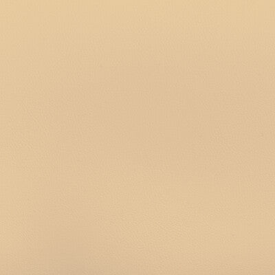 KRAVET DESIGN BEECH.16.0 KRAVET DESIGN BEECH-16 Fabric - FAUX LEATHER IV