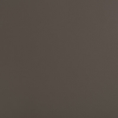KRAVET DESIGN BEECH.21.0 KRAVET DESIGN BEECH-21 Fabric - FAUX LEATHER IV