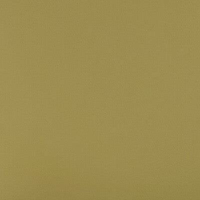 KRAVET DESIGN BEECH.23.0 KRAVET DESIGN BEECH-23 Fabric - FAUX LEATHER IV