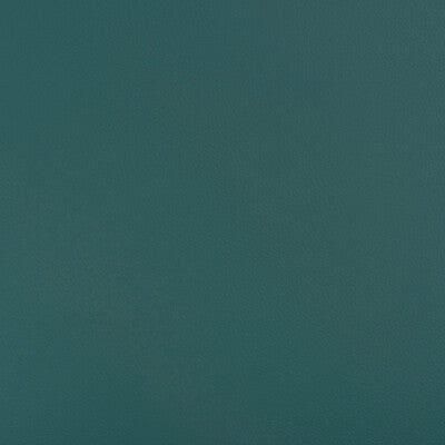 KRAVET DESIGN BEECH.35.0 KRAVET DESIGN BEECH-35 Fabric - FAUX LEATHER IV