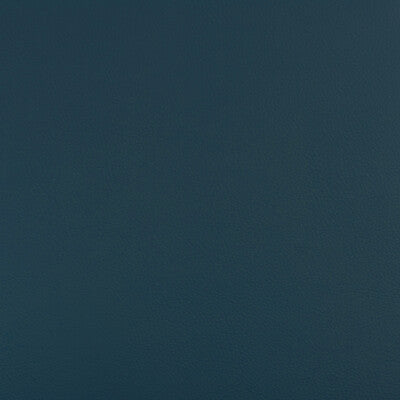 KRAVET DESIGN BEECH.3535.0 KRAVET DESIGN BEECH-3535 Fabric - FAUX LEATHER IV