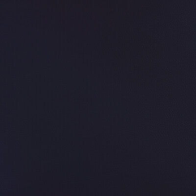 KRAVET DESIGN BEECH.50.0 KRAVET DESIGN BEECH-50 Fabric - FAUX LEATHER IV