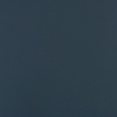 KRAVET DESIGN BEECH.55.0 KRAVET DESIGN BEECH-55 Fabric - FAUX LEATHER IV