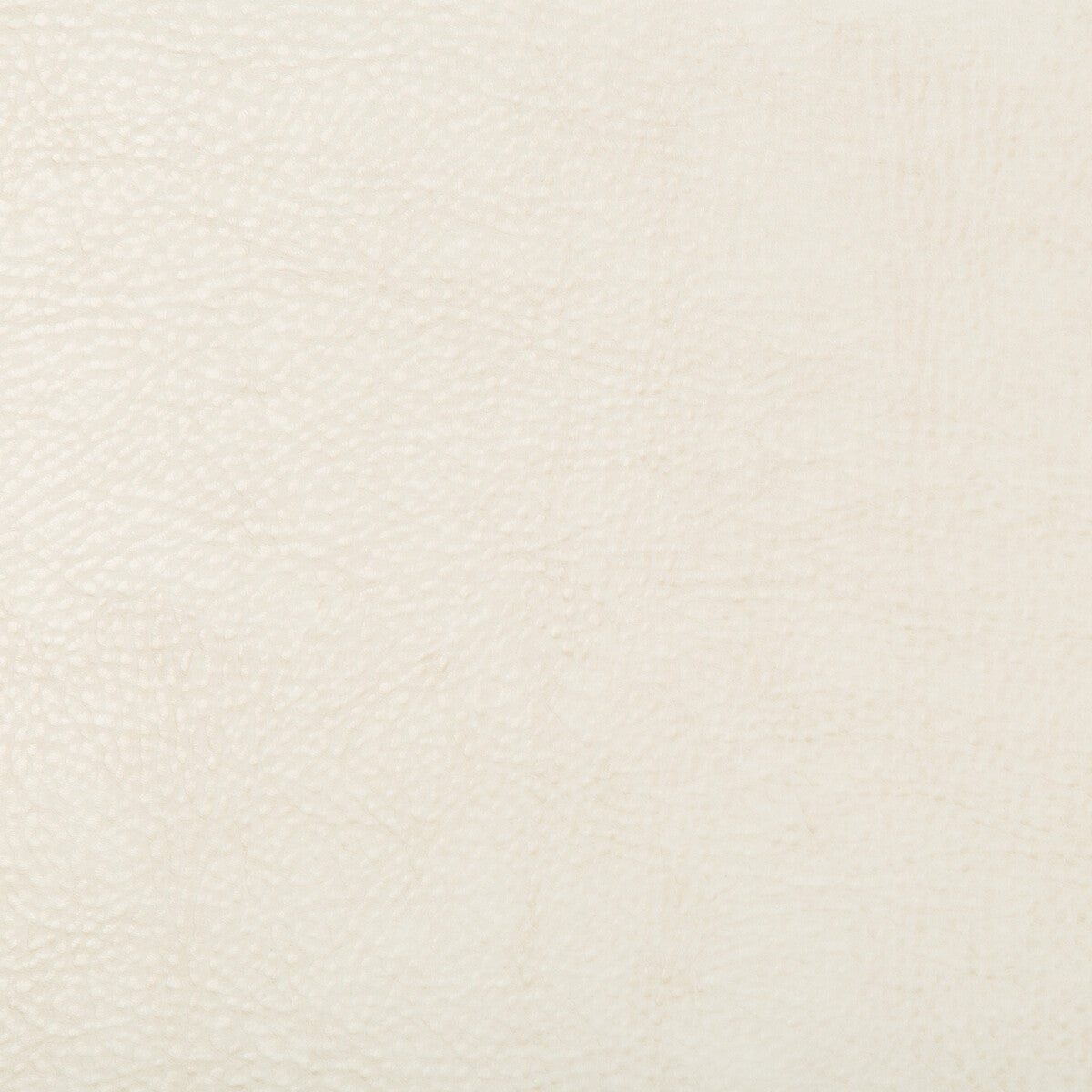 KRAVET DESIGN BEHOLDER.1.0 KRAVET DESIGN BEHOLDER-1 Fabric - Eade's Wallpaper