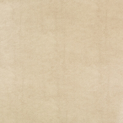 KRAVET DESIGN BEHOLDER.116.0 KRAVET DESIGN BEHOLDER-116 Fabric - Eade's Wallpaper