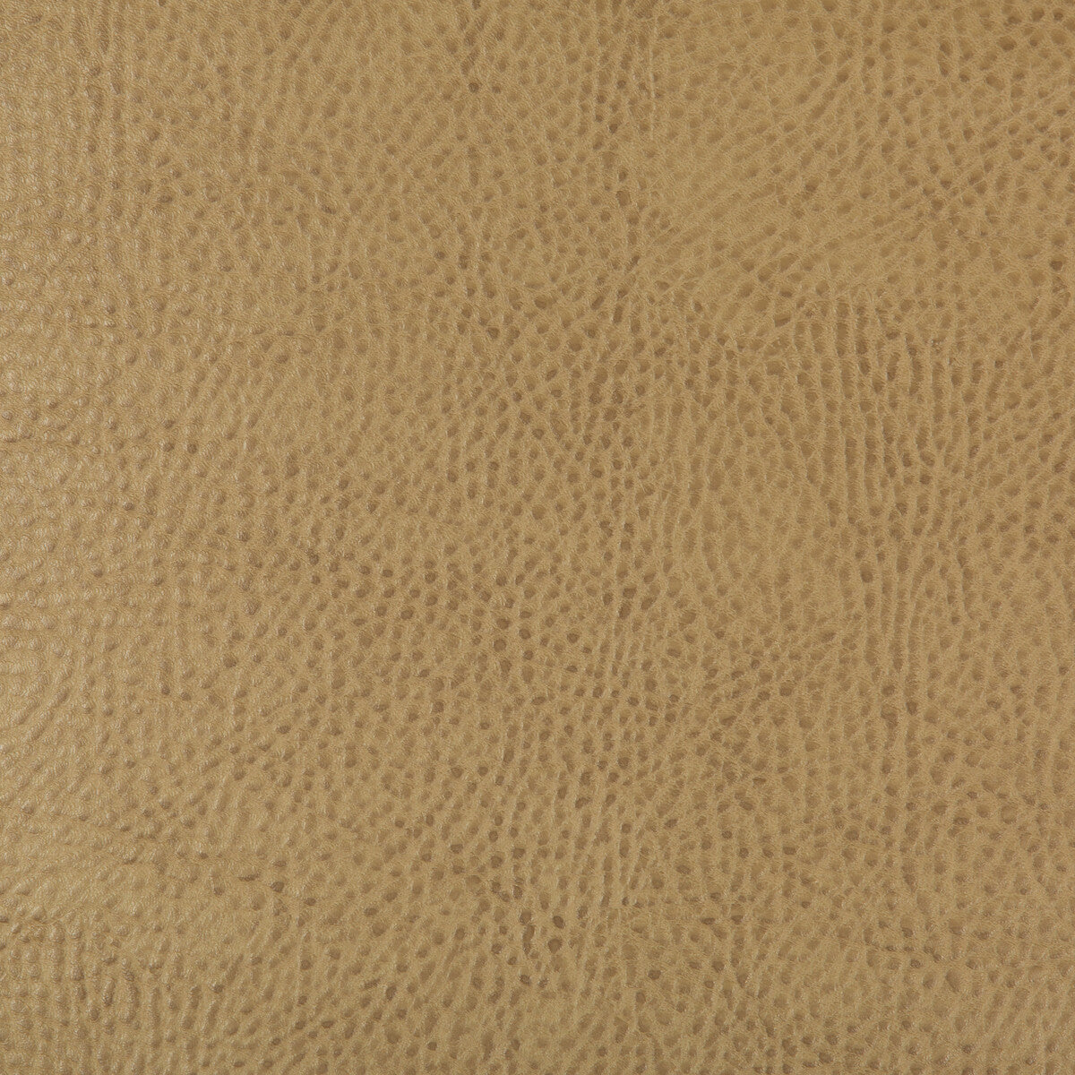 KRAVET DESIGN BEHOLDER.16.0 KRAVET DESIGN BEHOLDER-16 Fabric - Eade's Wallpaper