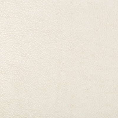 KRAVET DESIGN BEHOLDER.1.0 KRAVET DESIGN BEHOLDER-1 Fabric - Eade's Wallpaper