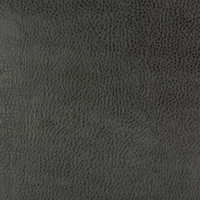 KRAVET DESIGN BEHOLDER.21.0 KRAVET DESIGN BEHOLDER-21 Fabric - Eade's Wallpaper