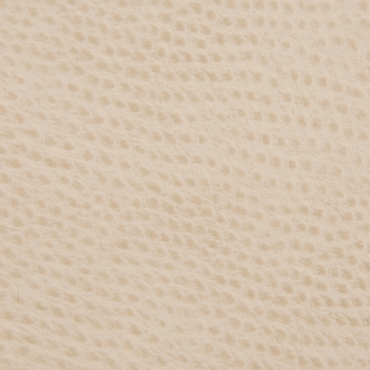 KRAVET CONTRACT BELUS.16.0 KRAVET CONTRACT BELUS-16 Fabric - Eade's Wallpaper