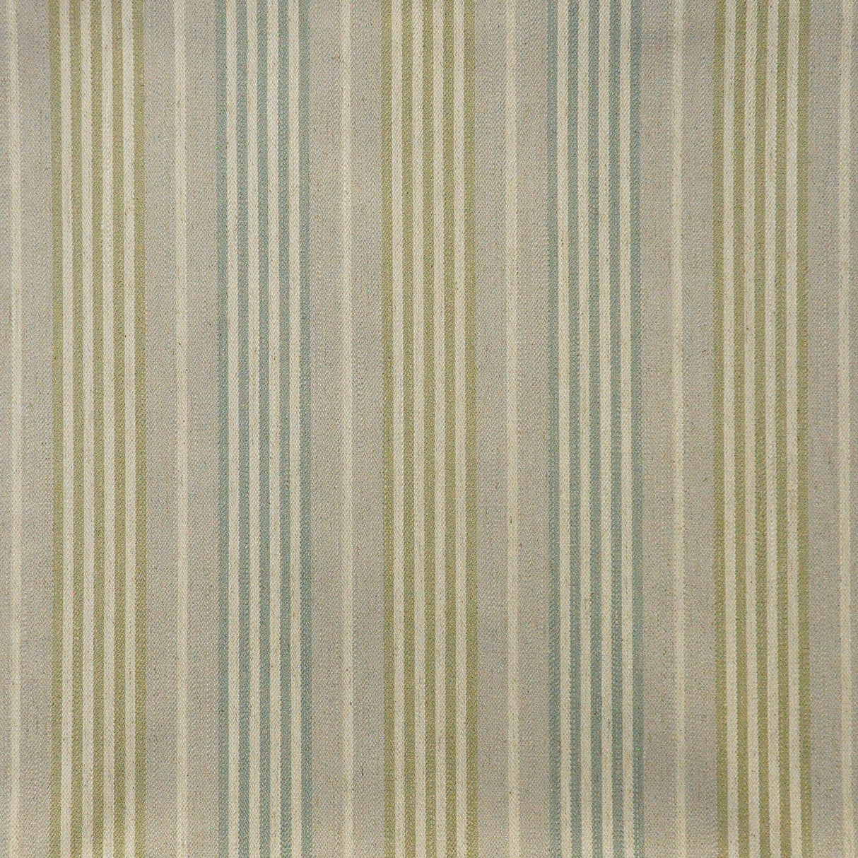 Eade’s # 319 LICHEN