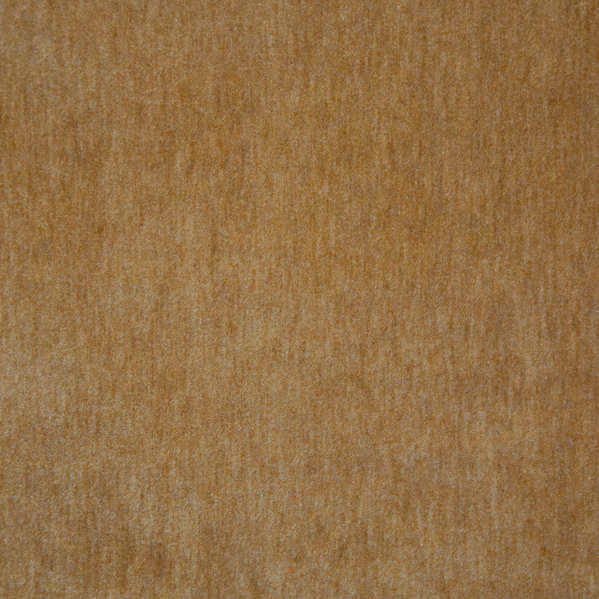 Eade’s # 117 CAMEL
