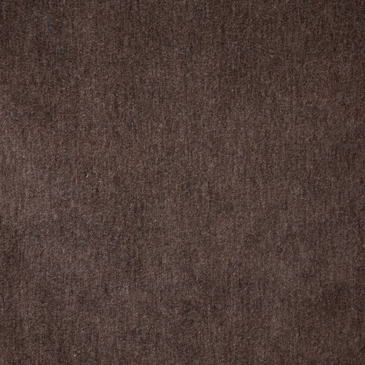 Eade’s # 121 GRAY OWL