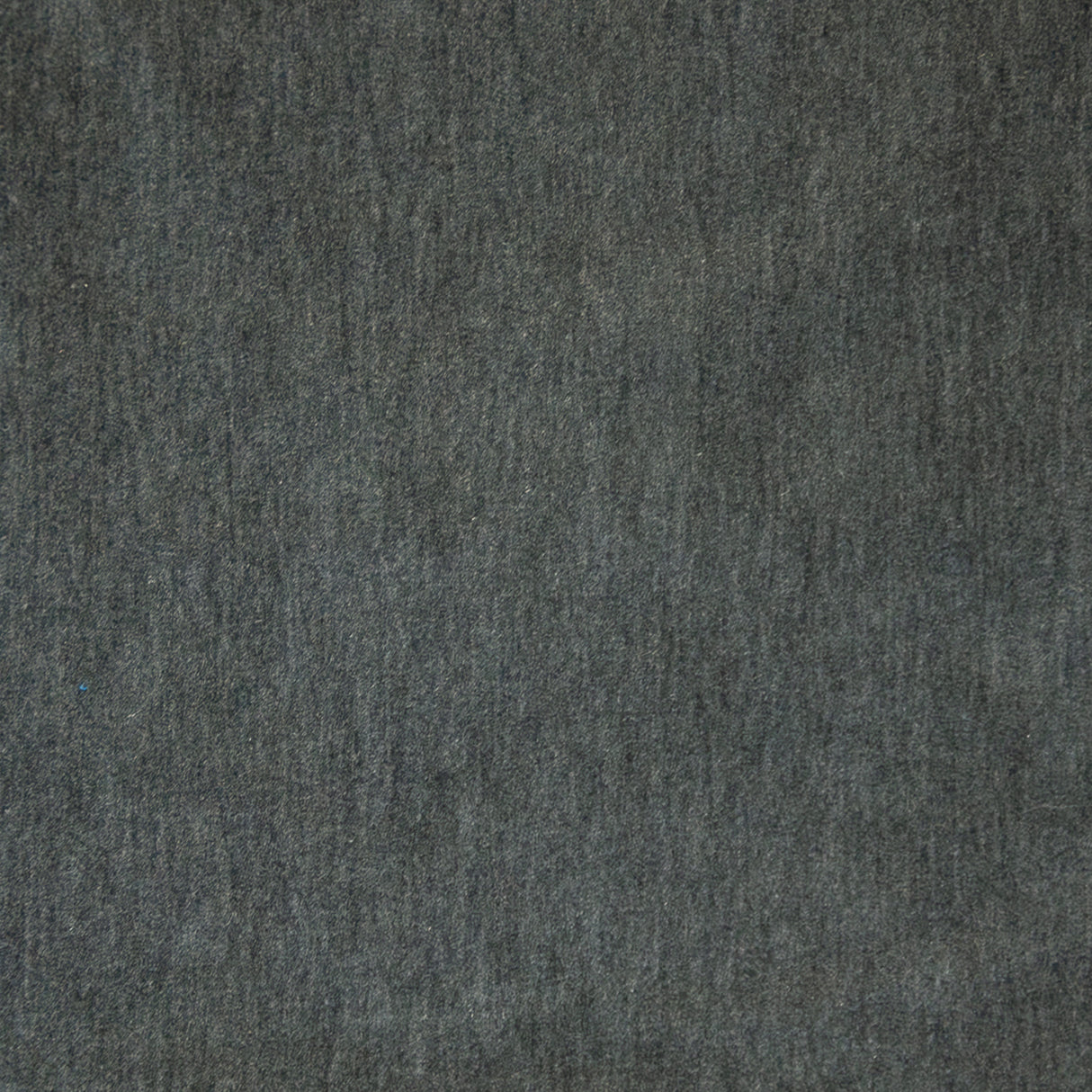 Eade’s # 125 RUSSIAN BLUE