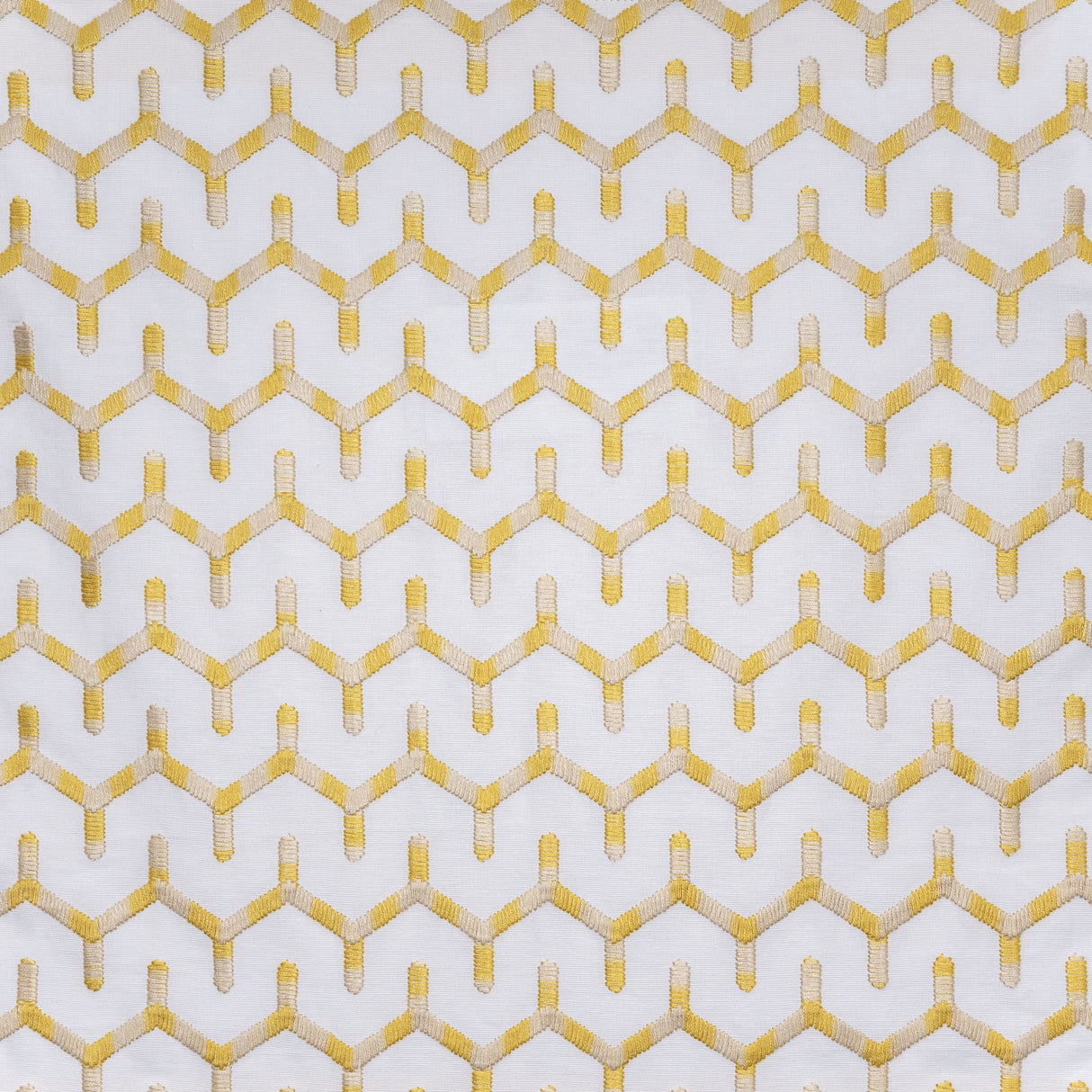 Eade’s # 620 CANARY