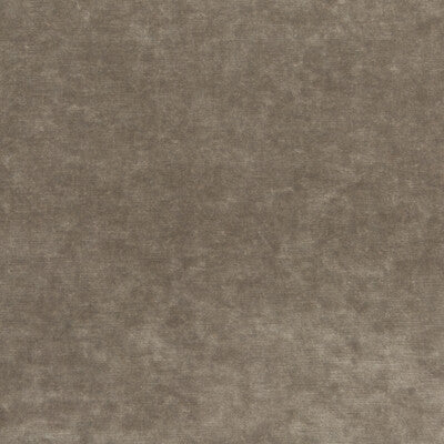 G P & J BAKER BF10658.285.0 KING'S VELVET MINK Fabric - Eade's Wallpaper