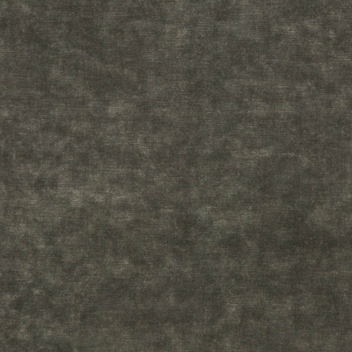 G P & J BAKER BF10658.955.0 KING'S VELVET EBONY Fabric - Eade's Wallpaper
