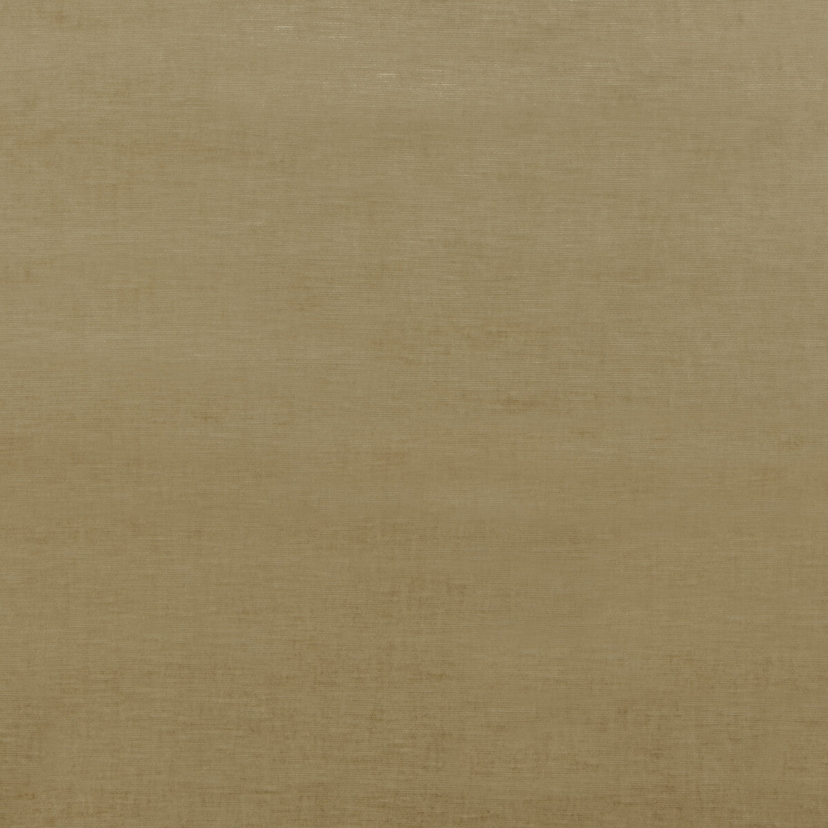 G P & J BAKER BF10692.170.0 ESSENTIAL VELVET CAMEL Fabric - Eade's Wallpaper