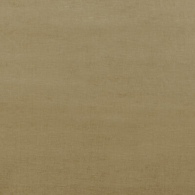 G P & J BAKER BF10692.170.0 ESSENTIAL VELVET CAMEL Fabric - Eade's Wallpaper