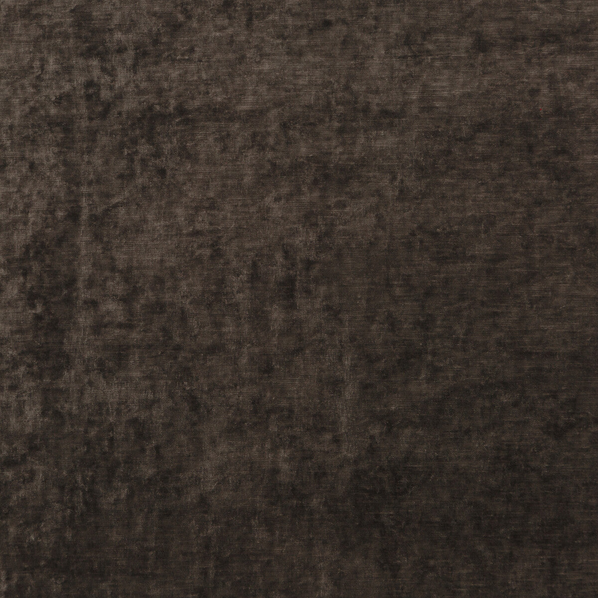 G P & J BAKER BF10700.240.0 VINTAGE VELVET MOLE Fabric - Eade's Wallpaper