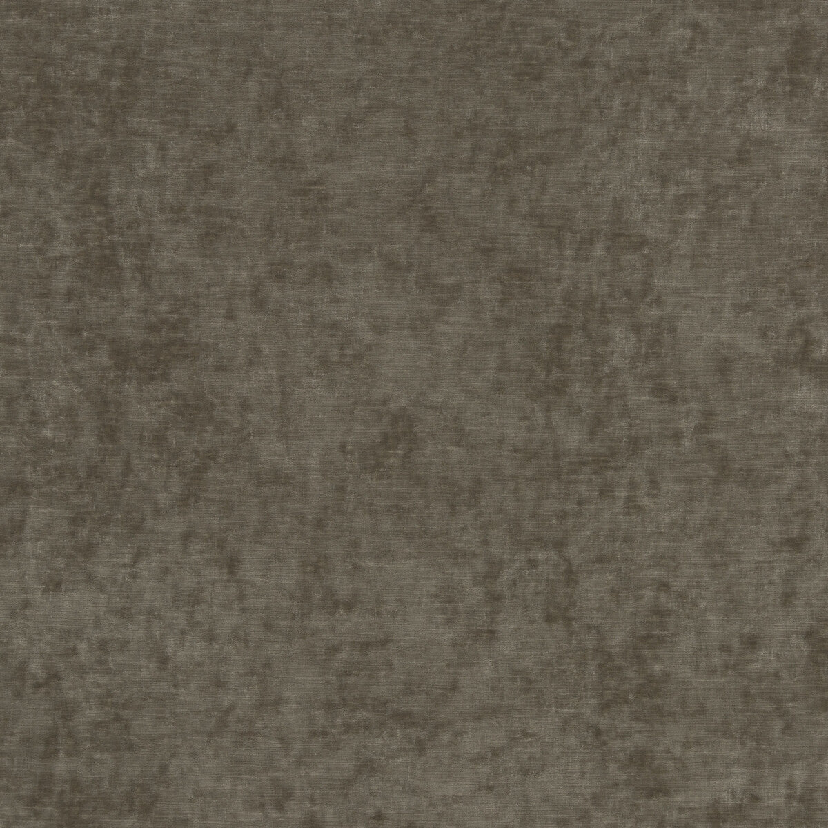 G P & J BAKER BF10700.285.0 VINTAGE VELVET MINK Fabric - Eade's Wallpaper
