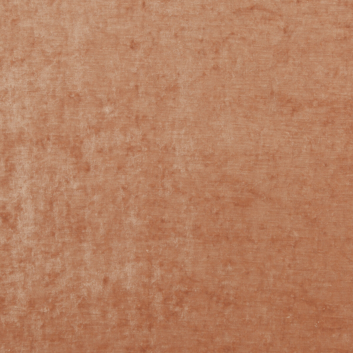 G P & J BAKER BF10700.318.0 VINTAGE VELVET PALE SIENNA Fabric - Eade's Wallpaper