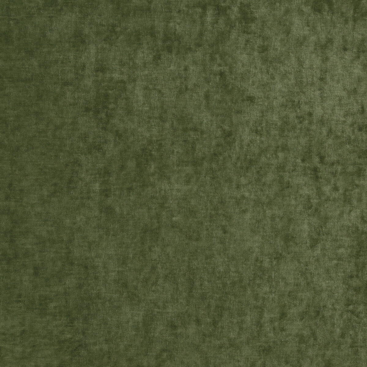 G P & J BAKER BF10700.775.0 VINTAGE VELVET FERN Fabric - Eade's Wallpaper