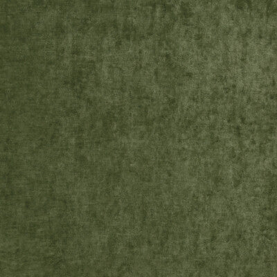 G P & J BAKER BF10700.775.0 VINTAGE VELVET FERN Fabric - Eade's Wallpaper