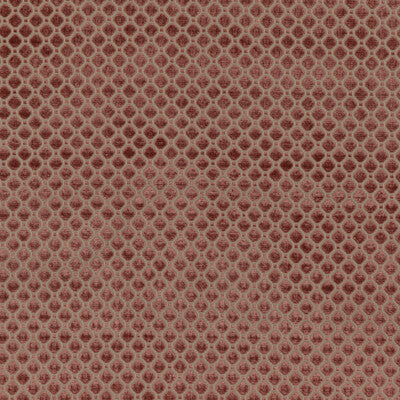 G P & J BAKER BF10826.440.0 INDUS VELVET BLUSH Fabric - Eade's Wallpaper