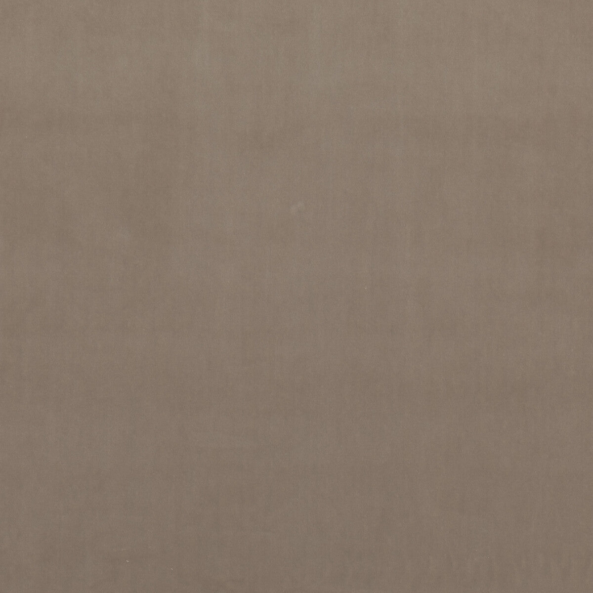 G P & J BAKER BF10841.910.0 RIVIERA VELVET DOVE Fabric - Eade's Wallpaper