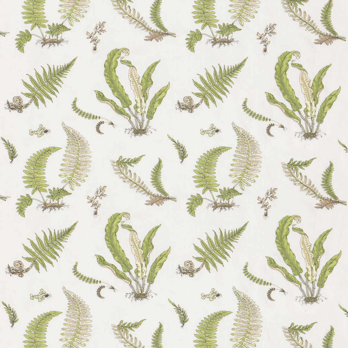 G P & J BAKER BF10991.2.0 FERNS EMBROIDERY GREEN Fabric - Eade's Wallpaper