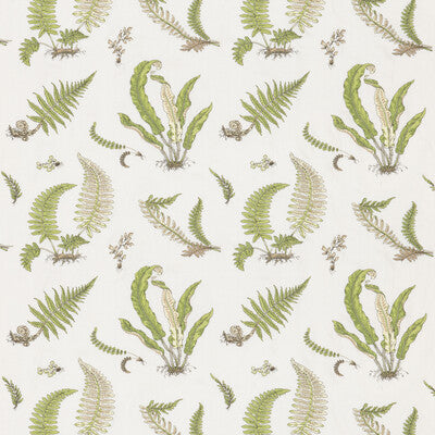 G P & J BAKER BF10991.2.0 FERNS EMBROIDERY GREEN Fabric - Eade's Wallpaper