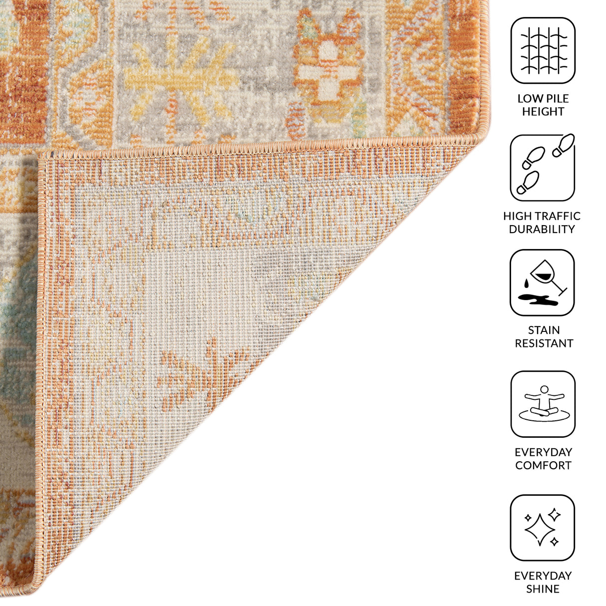 Amer Rugs BHM-4 Bohemian Classic Bordered /Beige Area Rug