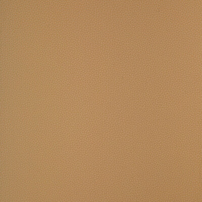 KRAVET DESIGN BIND.116.0 KRAVET DESIGN BIND-116 Fabric - FAUX LEATHER IV