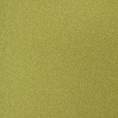 KRAVET DESIGN BIND.23.0 KRAVET DESIGN BIND-23 Fabric - FAUX LEATHER IV