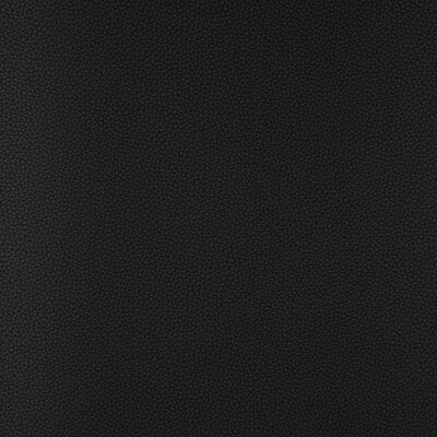 KRAVET DESIGN BIND.811.0 KRAVET DESIGN BIND-811 Fabric - FAUX LEATHER IV