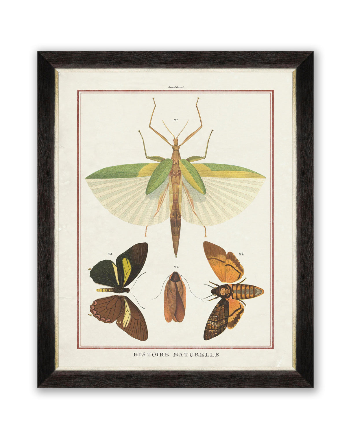 MindtheGap BIODIVERSITY PLATE II - Wallpaper Collection 2024