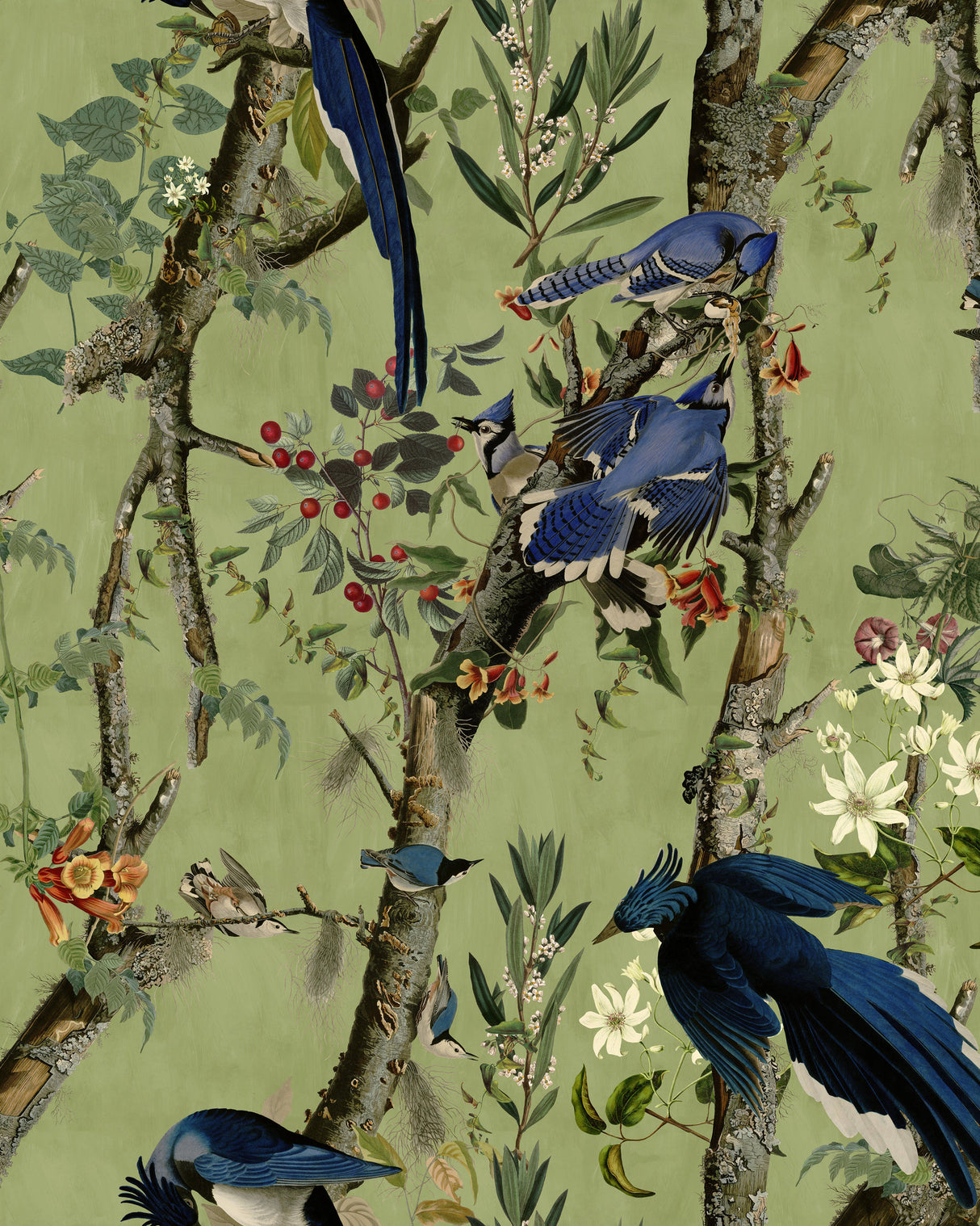 MindtheGap BIRDS OF DANUBE  - Wallpaper Collection 2024 - The Wetlands