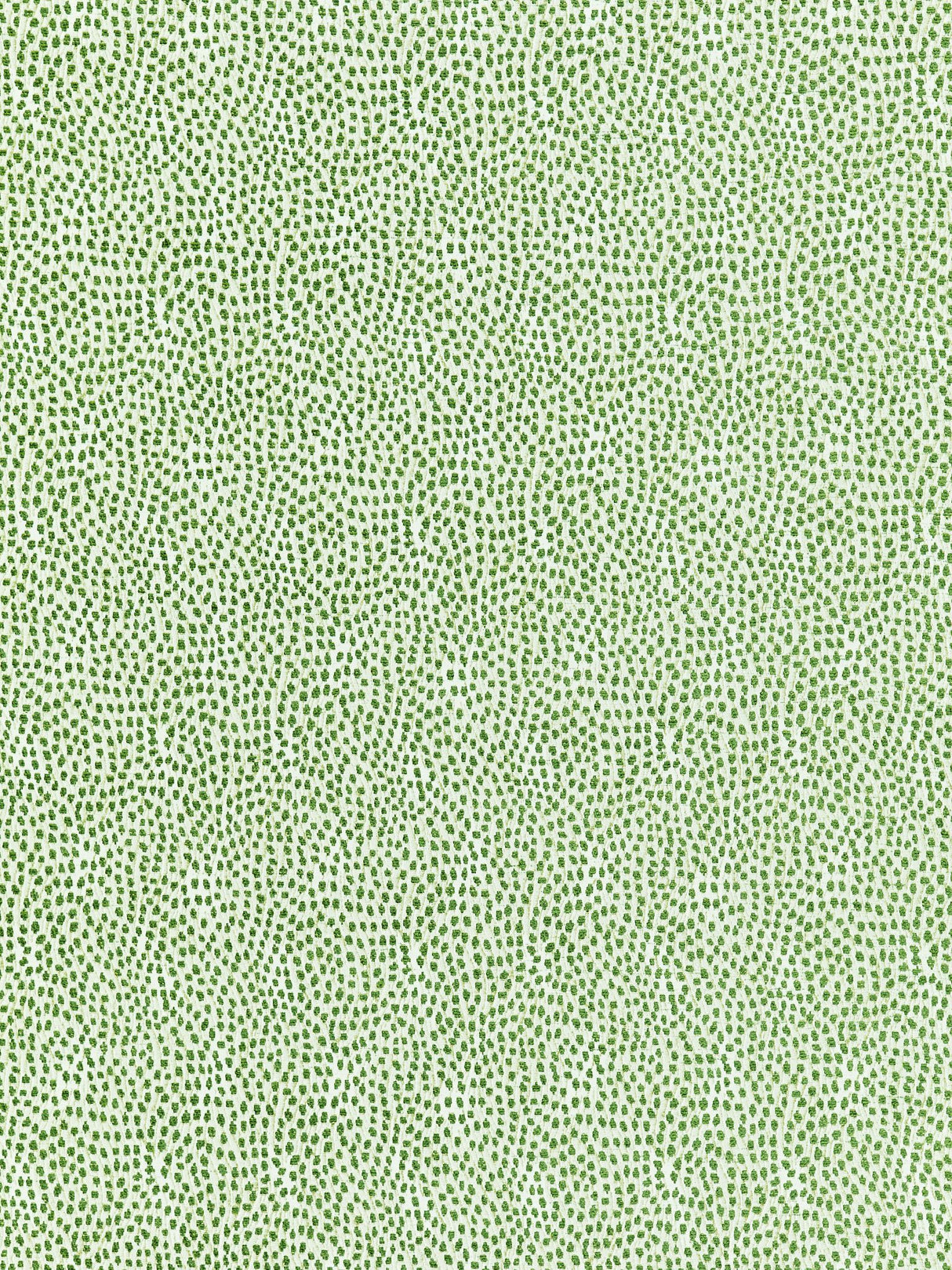 Scalamandre BI 00031234 LEAF FLURRY Fabric - Eade's Wallpaper