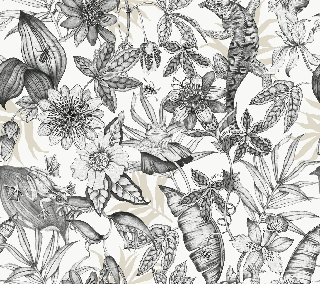 York BL1703 Rainforest White & Charcoal Wallpaper