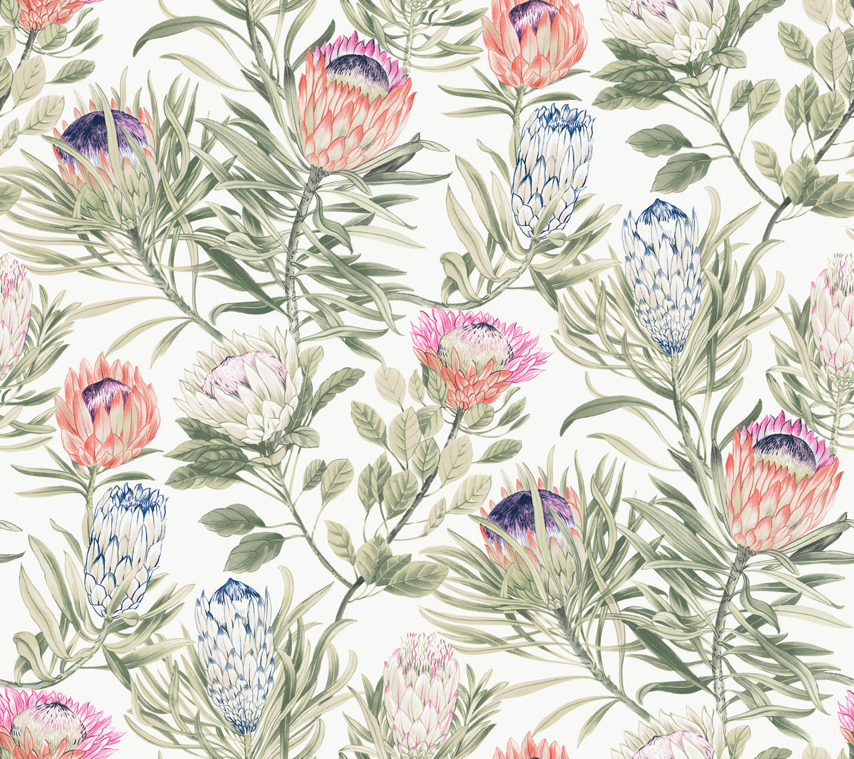 York BL1752 Protea White & Fuchsia Wallpaper