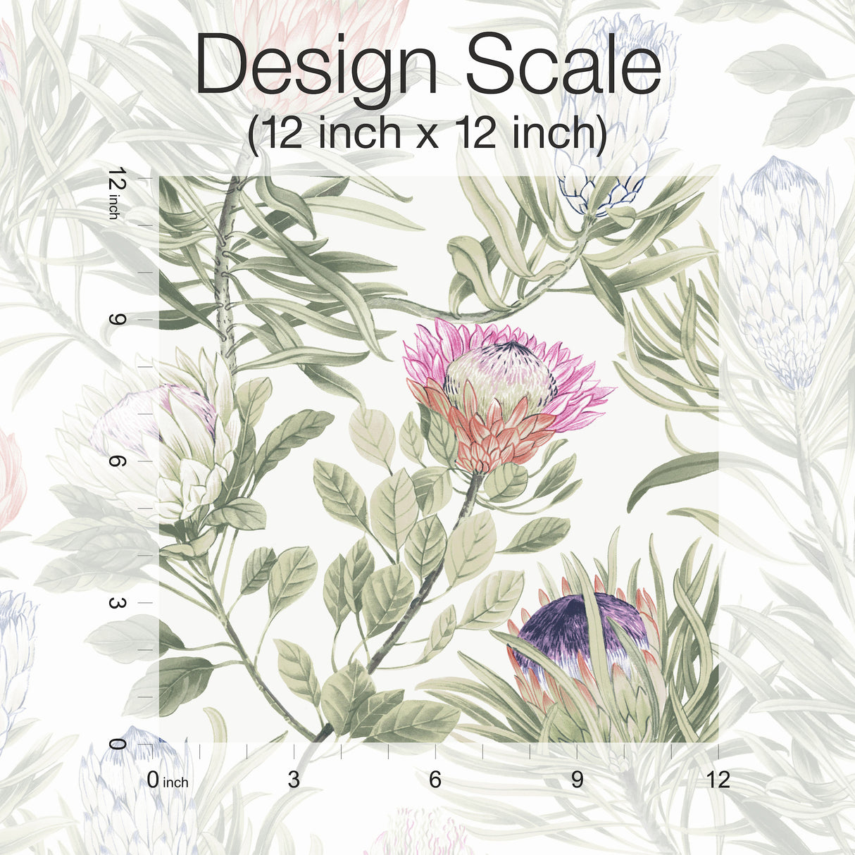 York BL1752 Protea White & Fuchsia Wallpaper