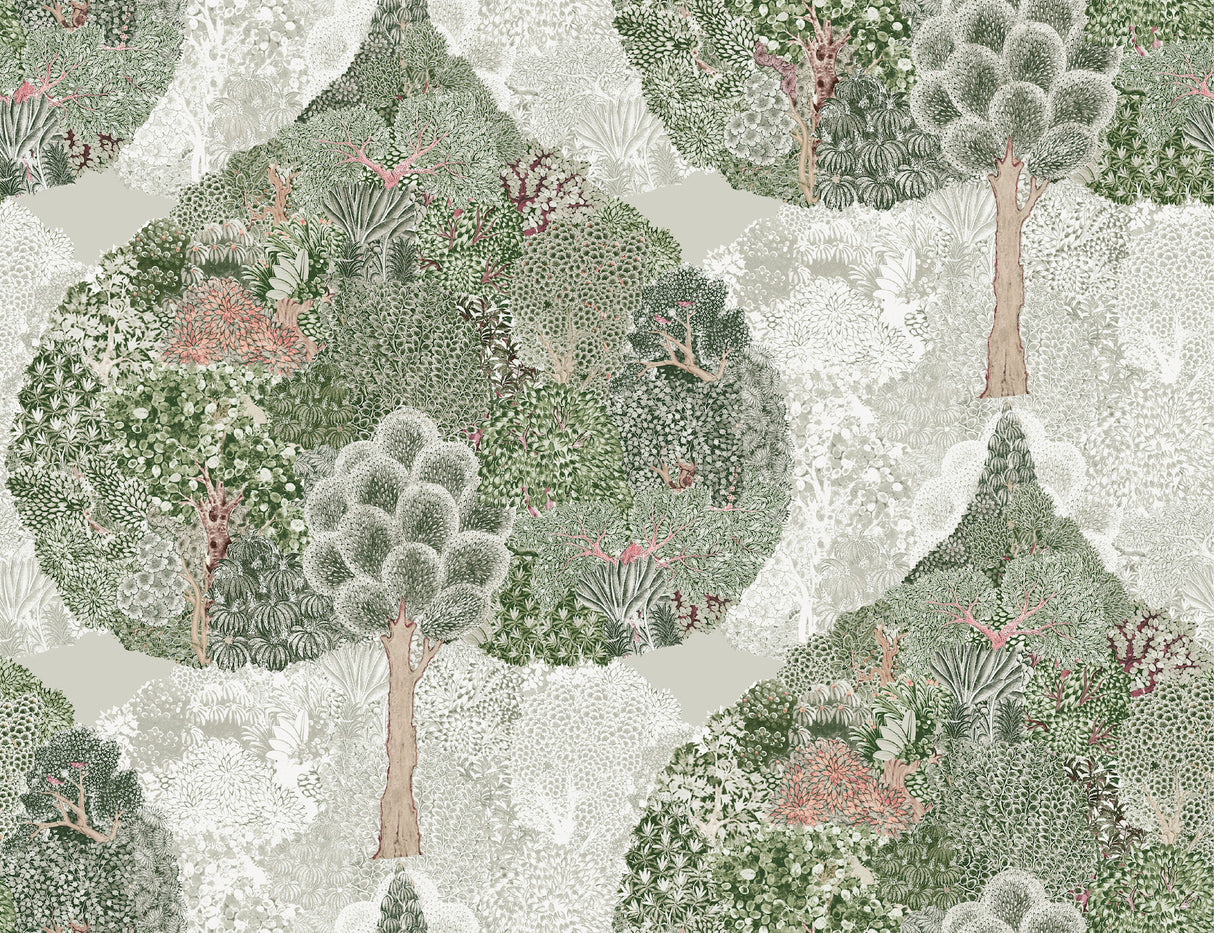 York BO6702 Mystic Forest Green & Coral Wallpaper