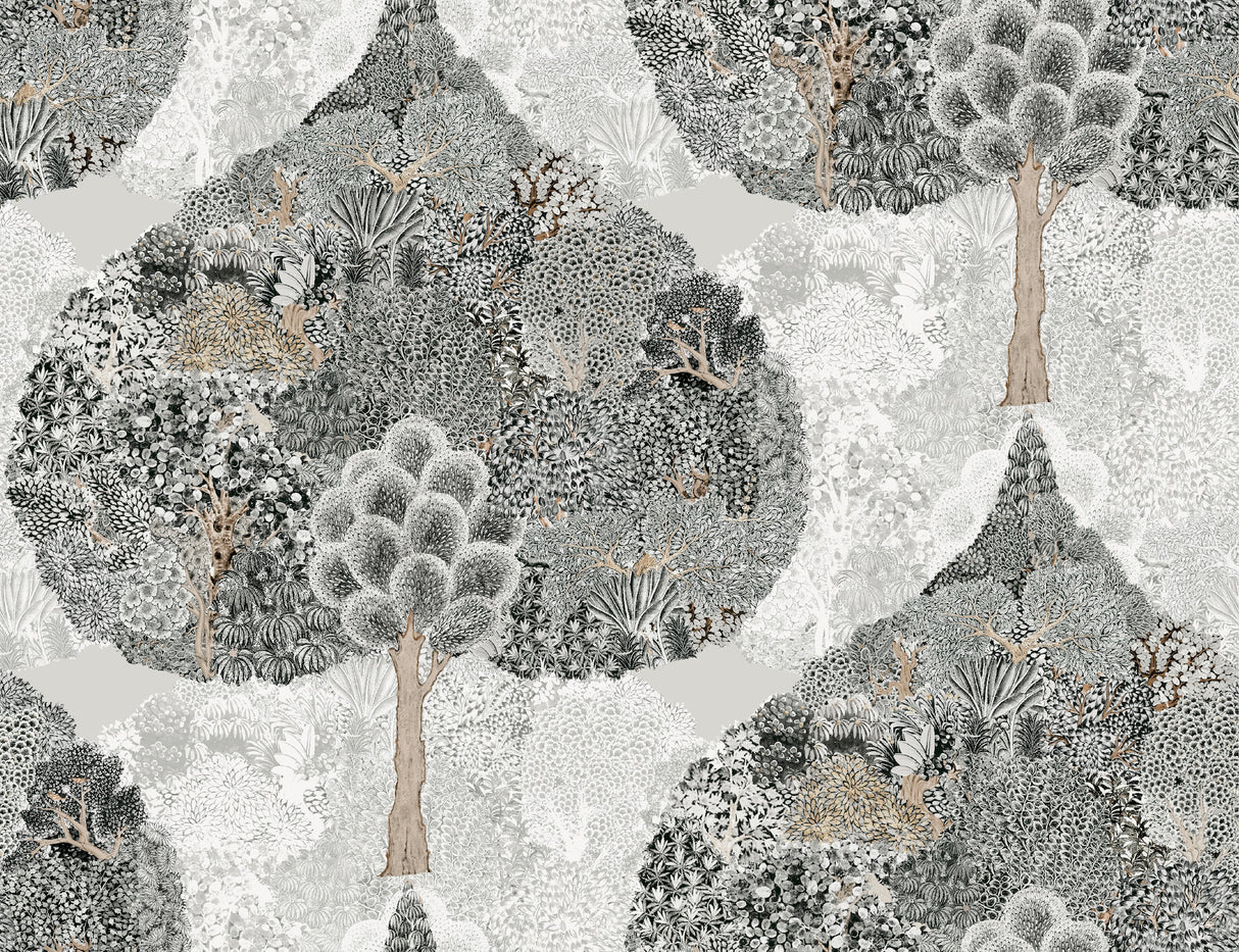 York BO6703 Mystic Forest Black Wallpaper