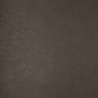 KRAVET DESIGN BOND.21.0 KRAVET DESIGN BOND-21 Fabric - FAUX LEATHER IV