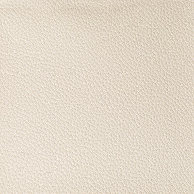 KRAVET CONTRACT BOONE.116.0 BOONE CONCH Fabric - Eade's Wallpaper