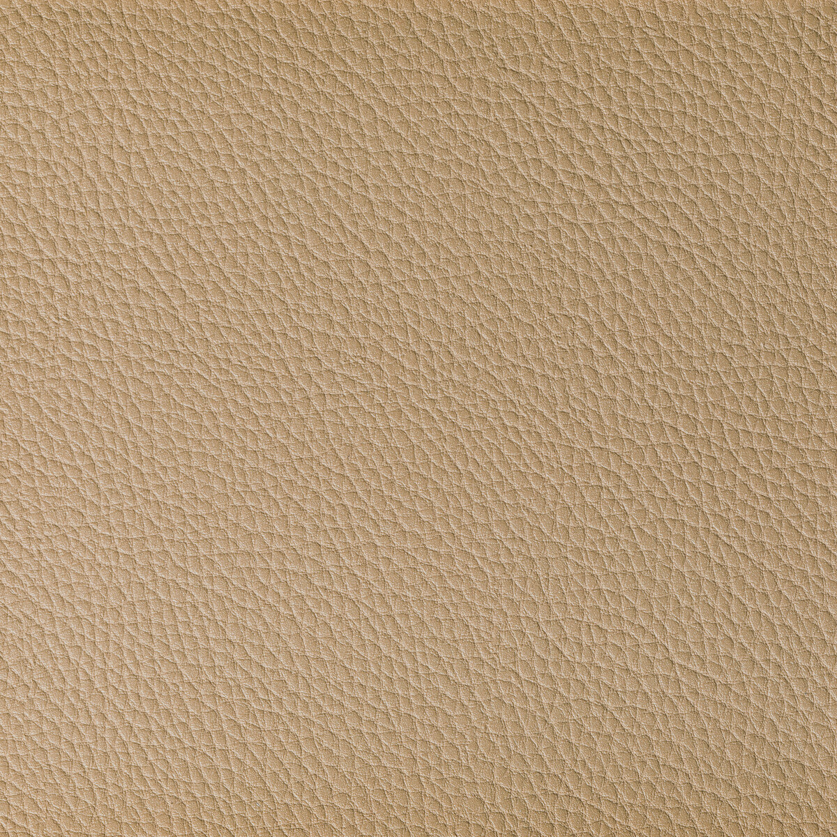 KRAVET CONTRACT BOONE.16.0 BOONE DUNE Fabric - Eade's Wallpaper